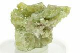 Lustrous Vesuvianite Crystal Cluster - Jeffrey Mine, Canada #284510-1
